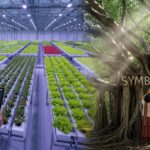 Forget 'Sustainability': Ancient India's Radical Plan for Planetary Symbiosis